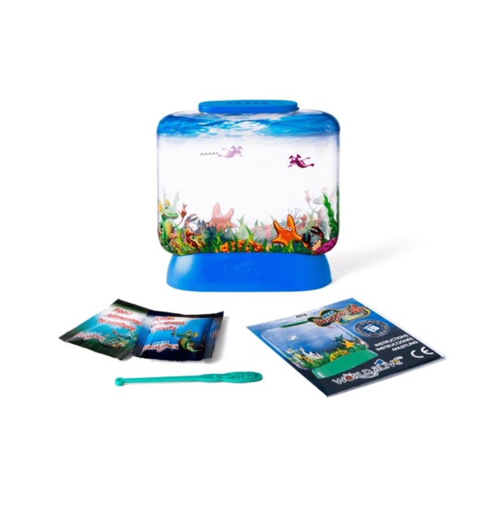 Aqua dragons sea friends kit basique