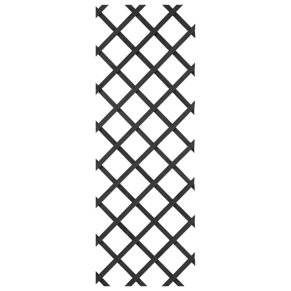 Treillis de jardin 50x150 cm bois anthracite