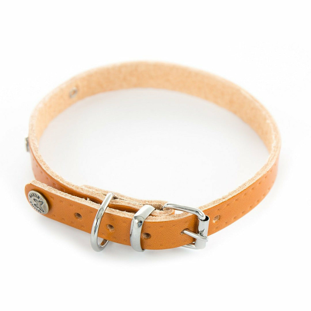 Collier pour chiens en cuir avec plaque d'identification