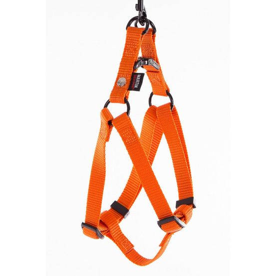 Harnais pour chiens : un style simple et efficace avec la collection nylon uni