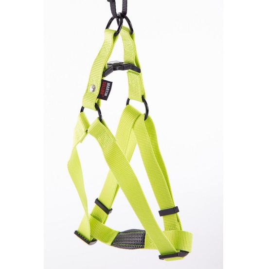 Harnais pour chiens : un style simple et efficace avec la collection nylon uni