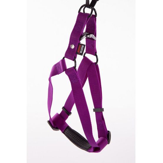 Harnais pour chiens : un style simple et efficace avec la collection nylon uni