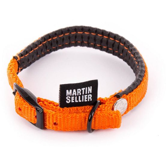 Collier pour chiens doublé de mousse