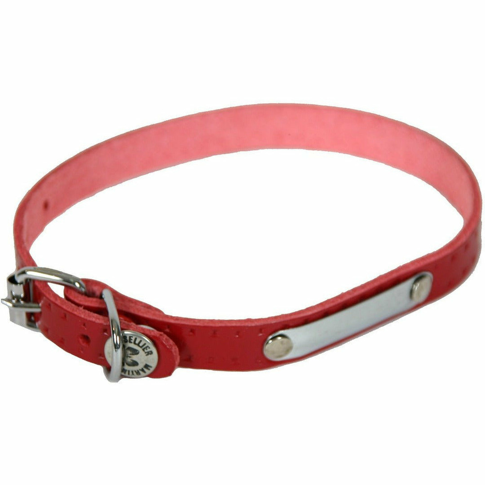 Collier pour chiens en cuir avec plaque d'identification