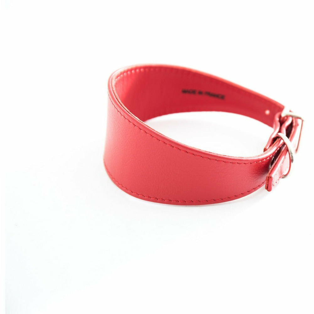 Collier pour chiens en cuir pleine fleur pour whippets et lévriers