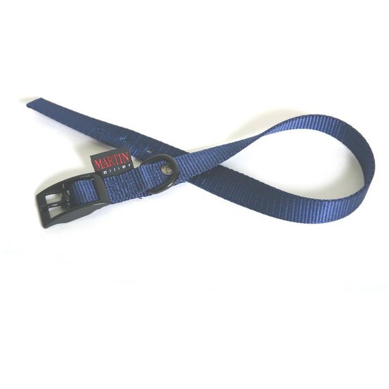 Collier pour chien parfait pour l'extérieur