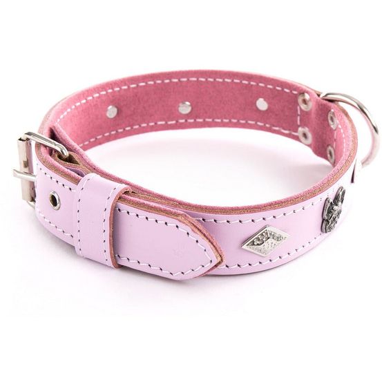 Collier en cuir pleine fleur pour bouledogue