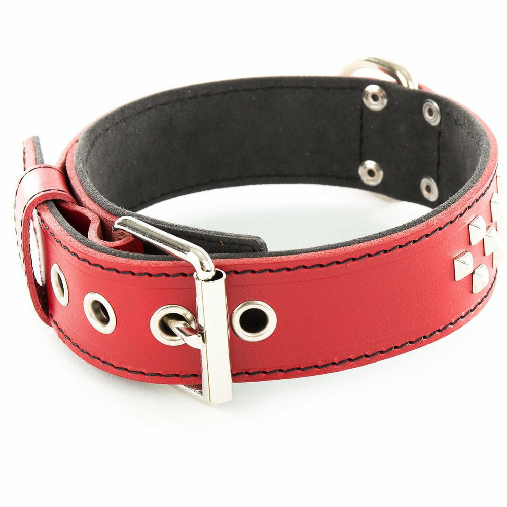 Collier en cuir pour chien avec clous et doublure en alcantara