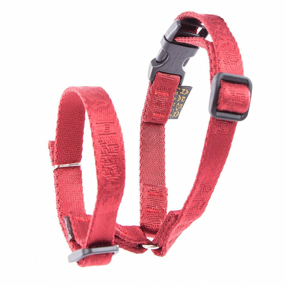 La meilleure muselière pour chiens en nylon | collection rubis