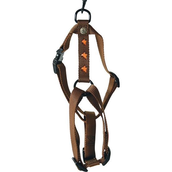 Harnais pour chiens collection papillon orange