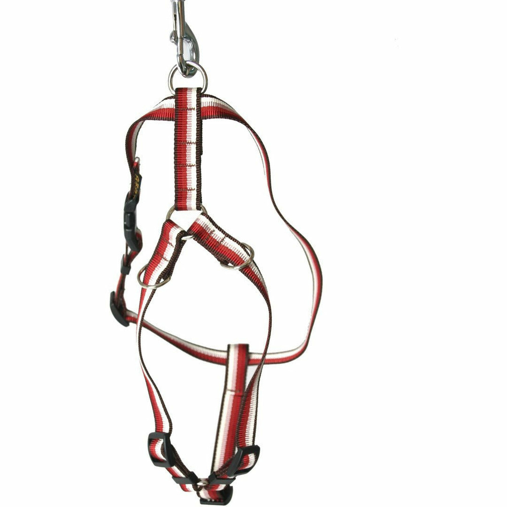 Harnais en nylon pour chiens arka haok - collection baya