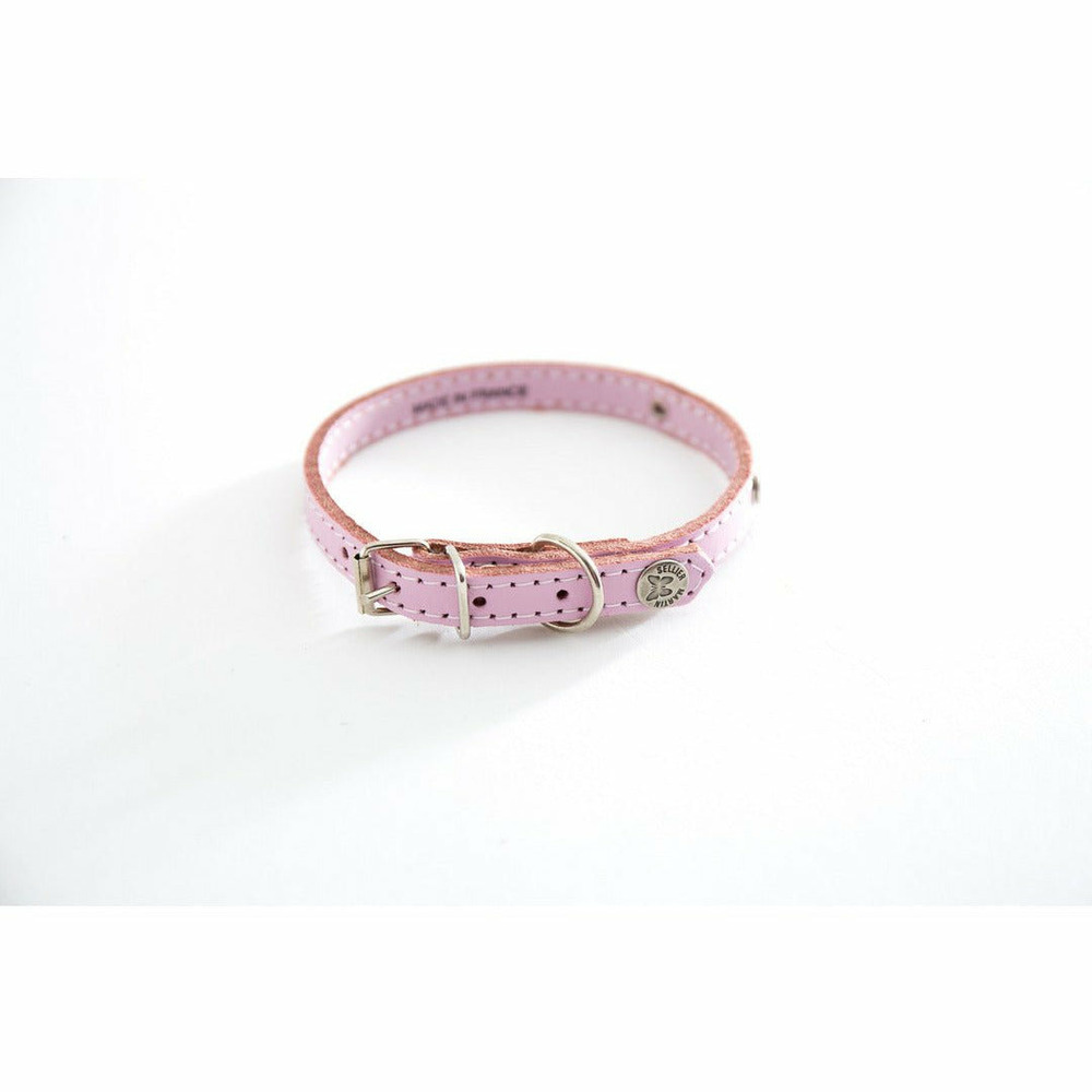 Collier pour chiens en cuir pleine fleur avec plaque d'identification