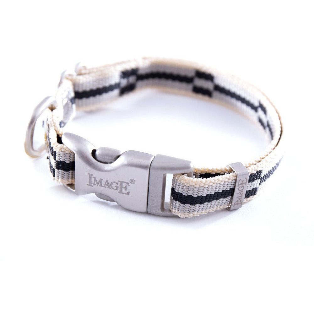 Collier pour chiens en nylon image coloris bariolés
