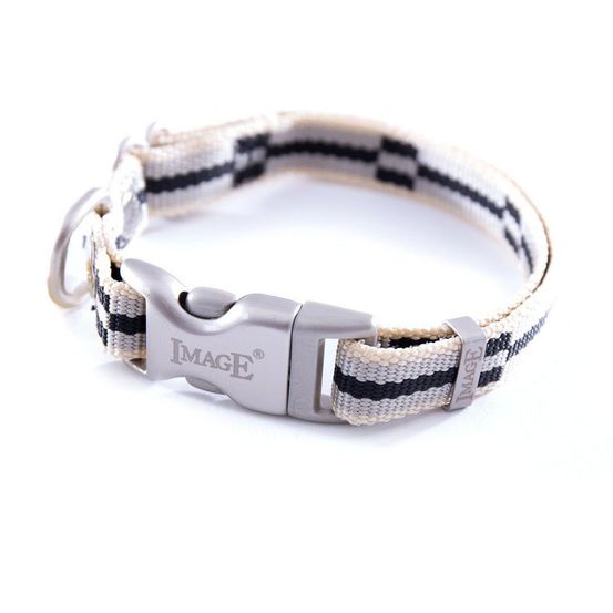 Collier pour chiens en nylon image coloris bariolés