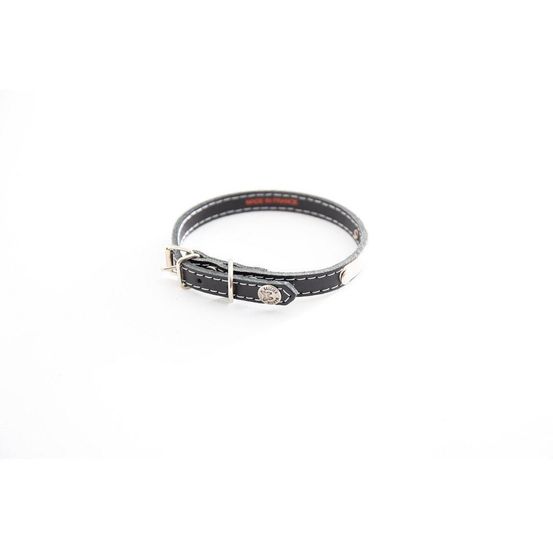 Collier pour chiens en cuir pleine fleur avec plaque d'identification
