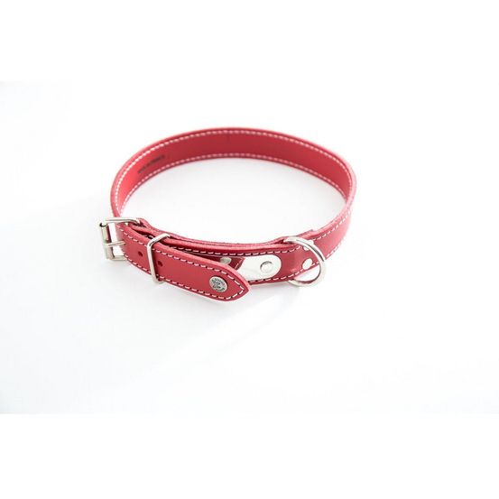 Collier pour chiens en cuir pleine fleur avec plaque d'identification