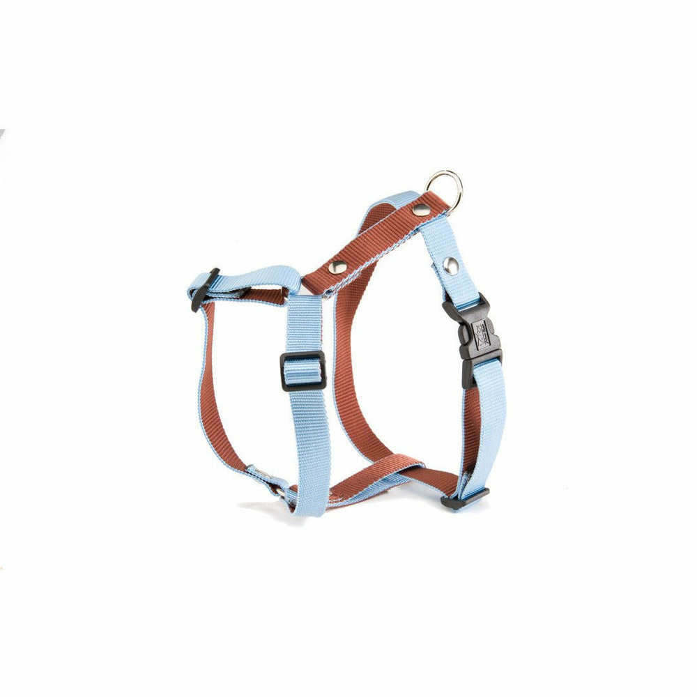 Alter ego : le harnais pour chiens qui apporte de la couleur à vos promenades