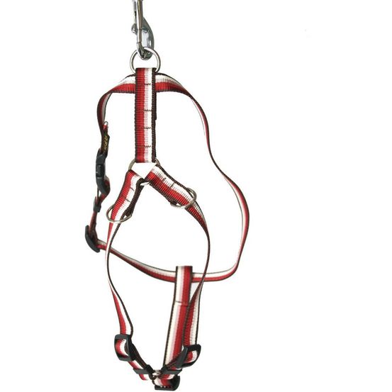 Harnais en nylon pour chiens arka haok - collection baya