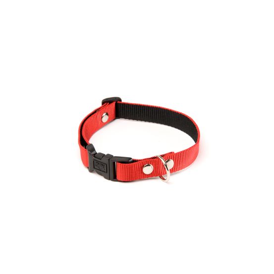Alter ego - collier pour chiens en nylon résistant
