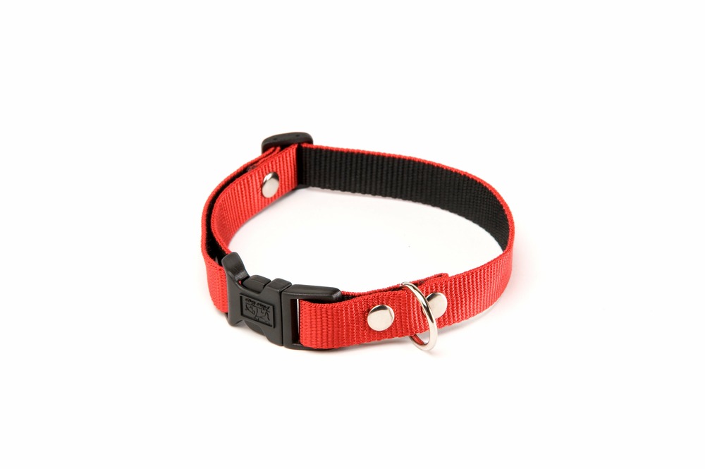 Alter ego - collier pour chiens en nylon résistant