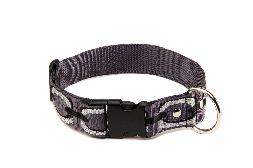 Alter ego - collier pour chiens scintillant