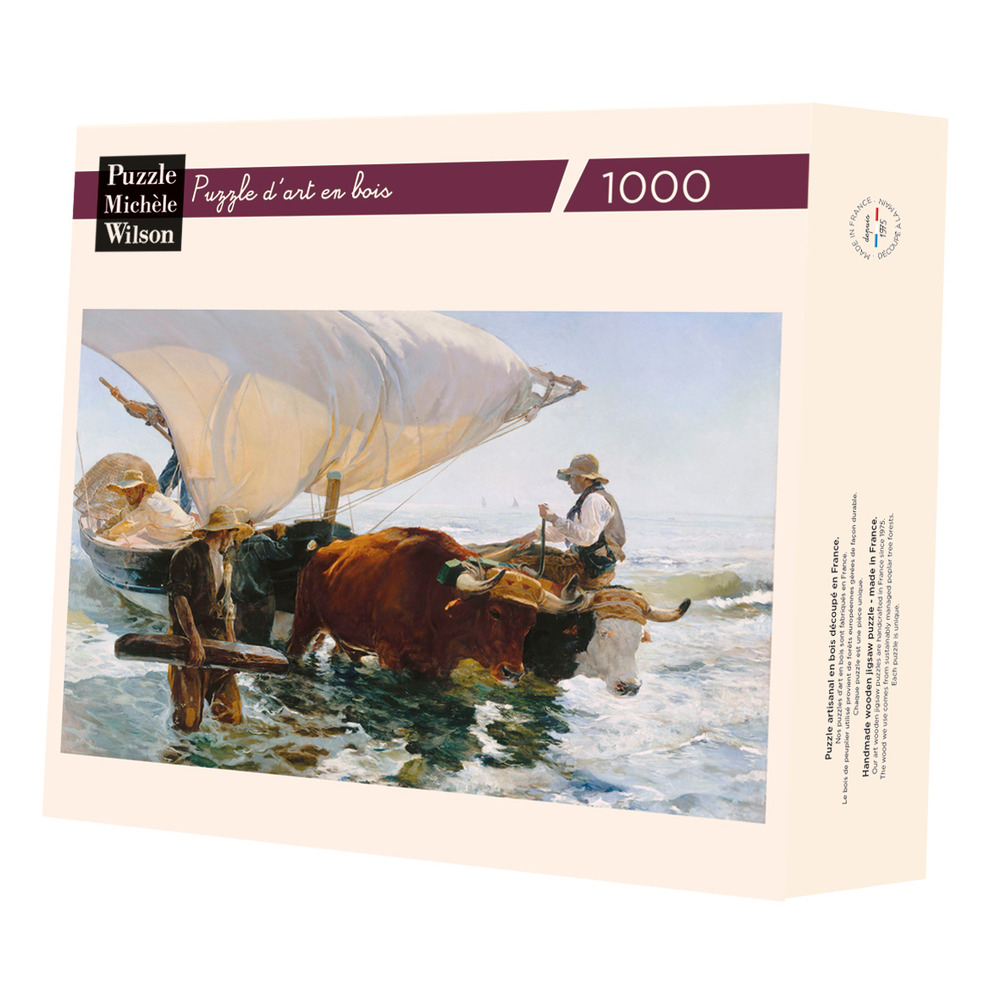 Retour de pêche de sorolla