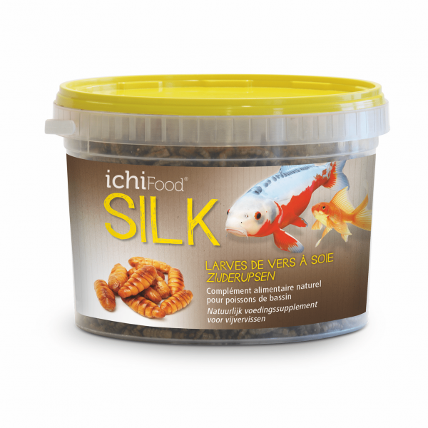 Ichi food silk 350 g (vers à soie)