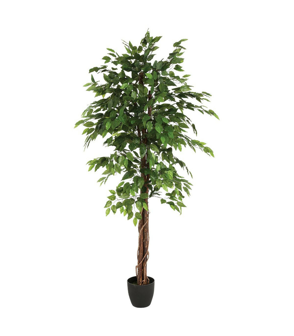 Plante artificielle ficus en pot h 180 cm