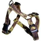 Harnais pour chiens camouflage arka haok - collection chrys