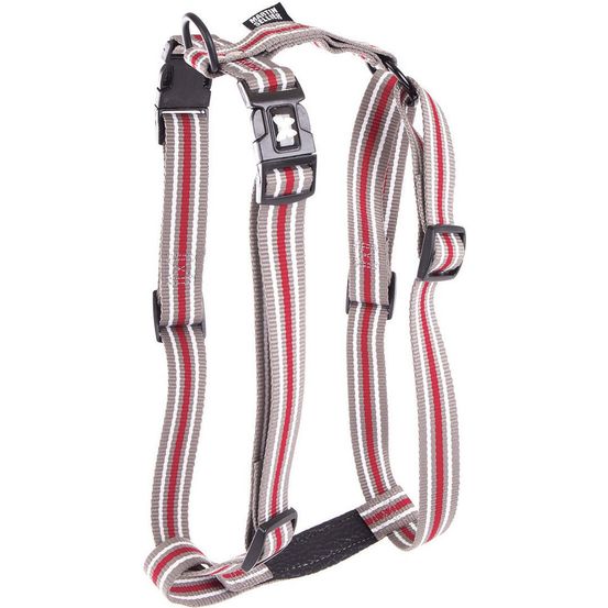 Harnais pour chiens collection collection trio