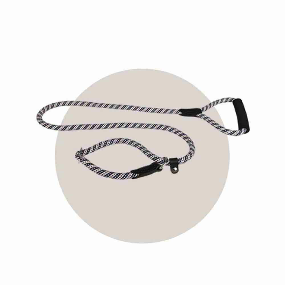 Laisse lasso run-around fresh bleu