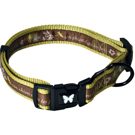 Collier pour chien collection