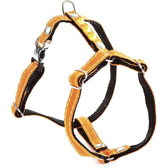 Harnais fluo color alter ego en nylon pour chiens