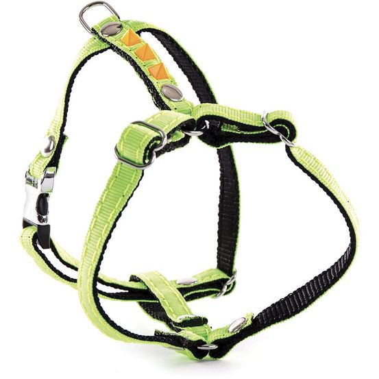 Harnais fluo color alter ego en nylon pour chiens