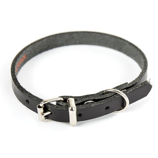 Collier pour chien en cuir pleine fleur choisissez parmi 6 couleurs éclatantes