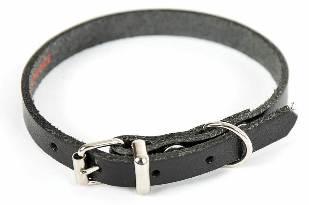 Collier pour chien en cuir pleine fleur choisissez parmi 6 couleurs éclatantes