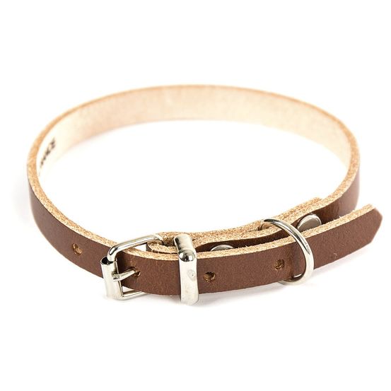 Collier pour chien en cuir pleine fleur choisissez parmi 6 couleurs éclatantes