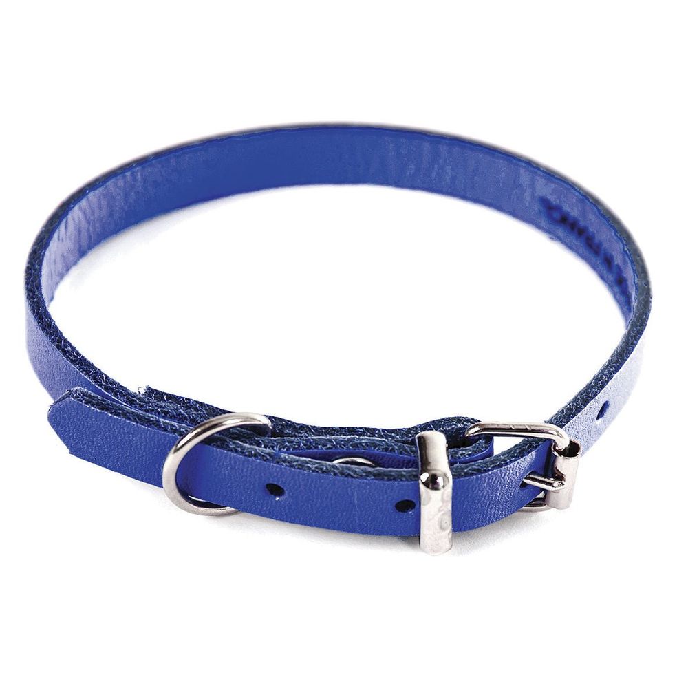 Collier pour chien en cuir pleine fleur choisissez parmi 6 couleurs éclatantes