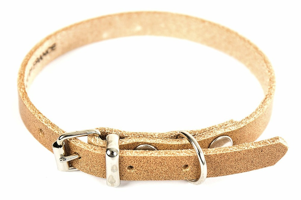 Collier pour chien en cuir pleine fleur choisissez parmi 6 couleurs éclatantes