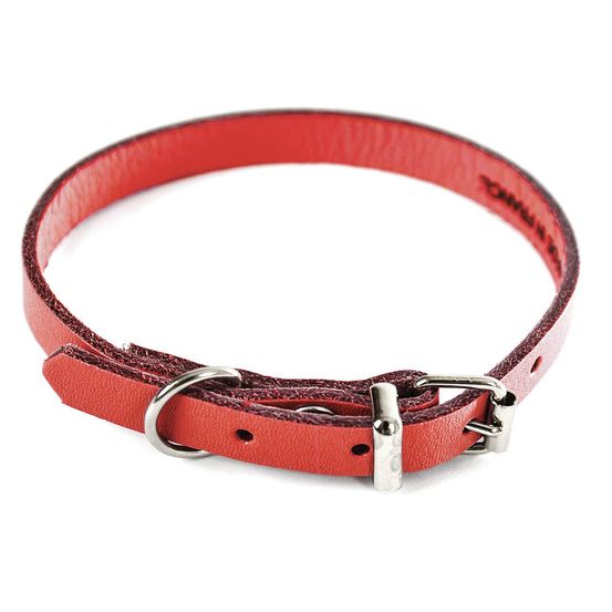 Collier pour chien en cuir pleine fleur choisissez parmi 6 couleurs éclatantes
