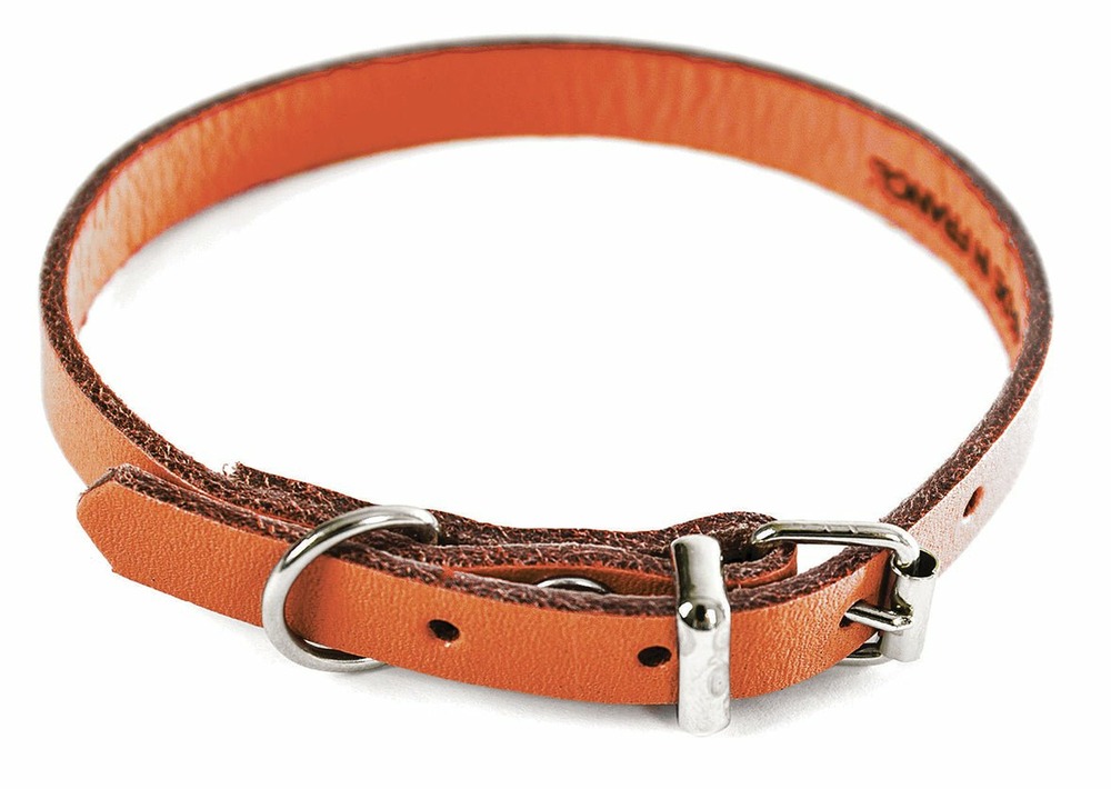 Collier pour chien en cuir pleine fleur choisissez parmi 6 couleurs éclatantes