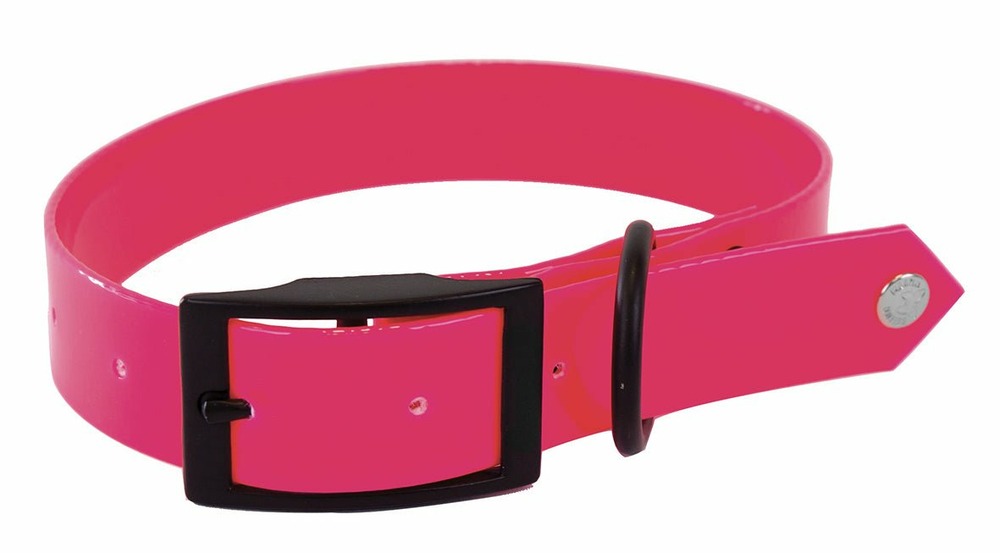 Collier en pvc fluo pour chiens de chasse