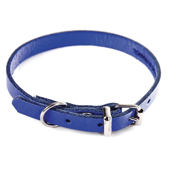 Collier pour chien en cuir pleine fleur choisissez parmi 6 couleurs éclatantes