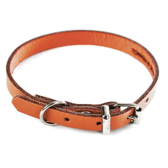 Collier pour chien en cuir pleine fleur choisissez parmi 6 couleurs éclatantes