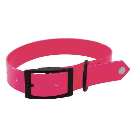 Collier en pvc fluo pour chiens de chasse