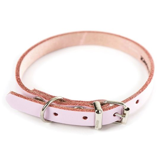 Collier pour chien en cuir pleine fleur choisissez parmi 6 couleurs éclatantes