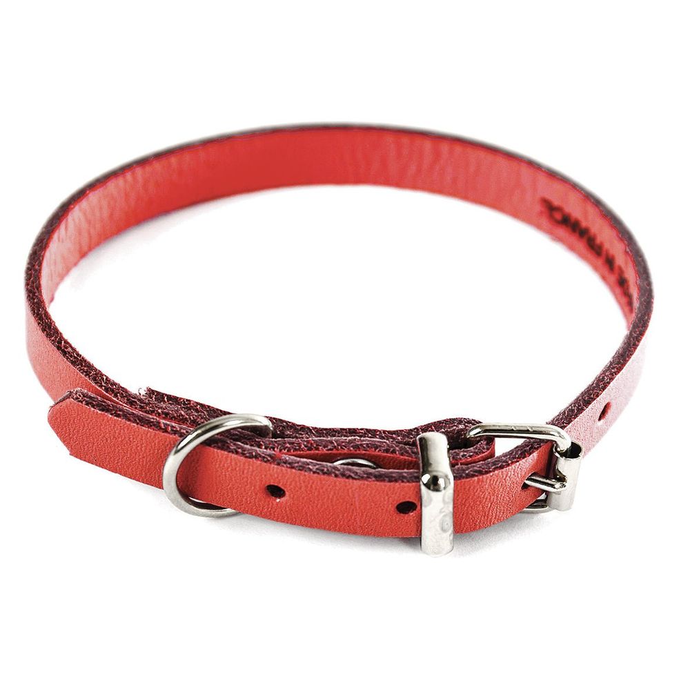 Collier pour chien en cuir pleine fleur choisissez parmi 6 couleurs éclatantes
