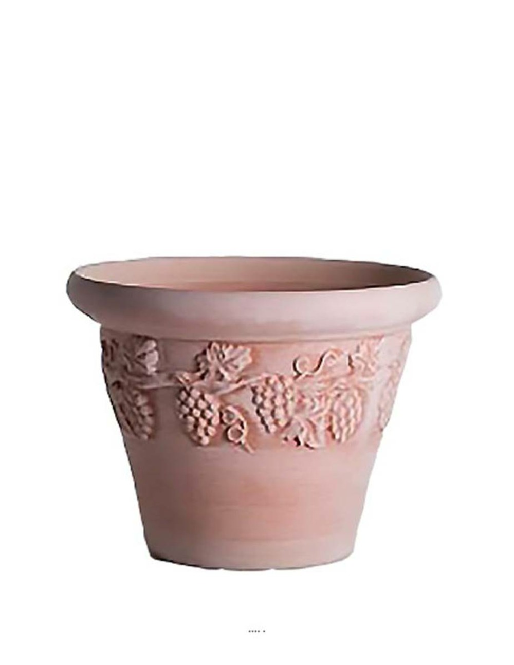 Cuvier raisin bac en terre cuite naturelle h 34 cm terre cuite d 47 cm - dimhaut