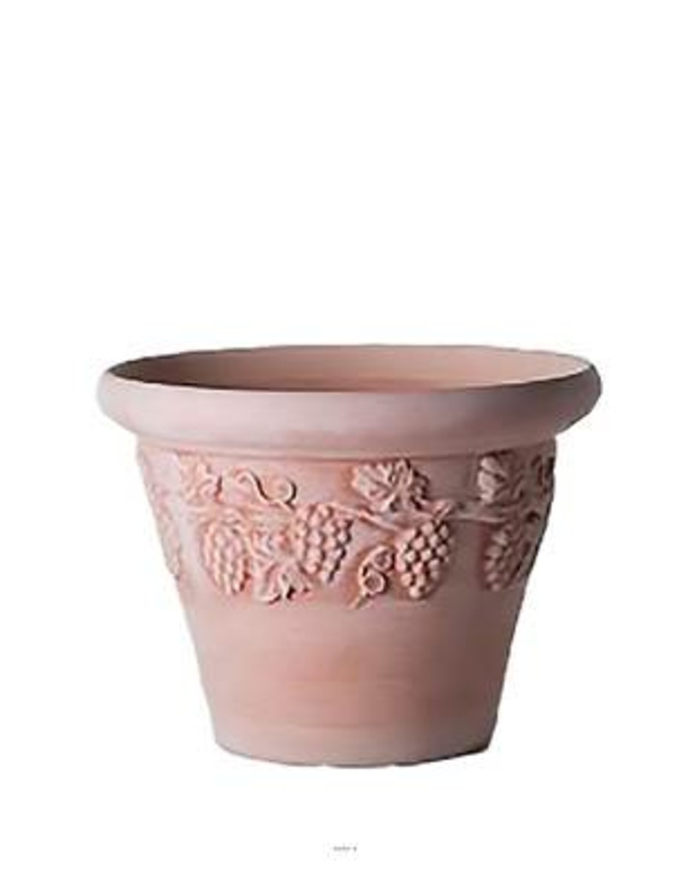 Cuvier raisin bac en terre cuite naturelle h 39 cm terre cuite d 52 cm - dimhaut