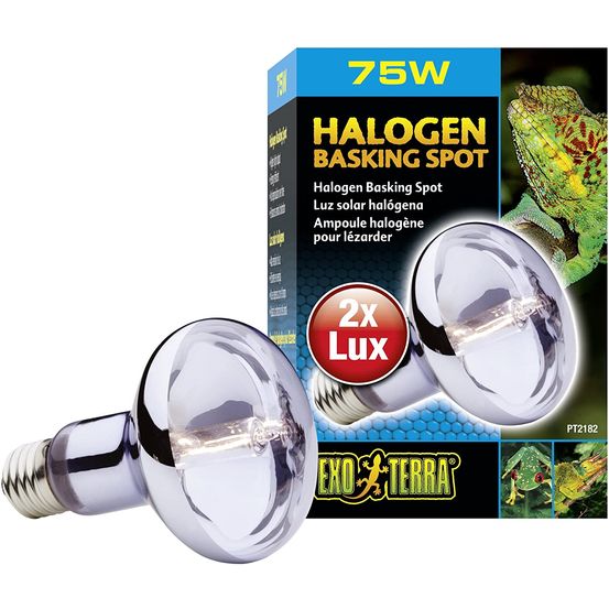 Lampe halogen basking spot 100w reptiles